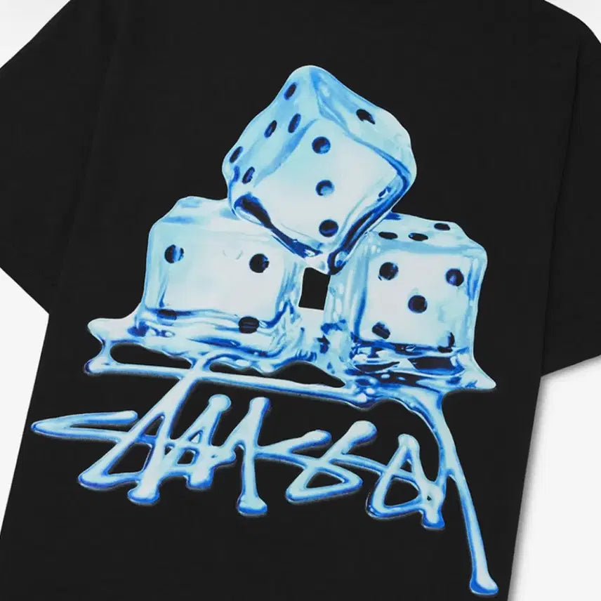 [BUNJANG] Stussy Melted Short Sleeve T-shirt Black [L] / 스투시 멜티드 반팔 티셔츠 블랙 [L]