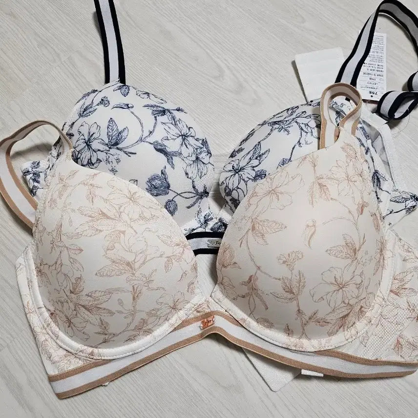 [BUNJANG] LeFait Bra Bundle Set / 르페 브라 75E 2장 일괄 75D