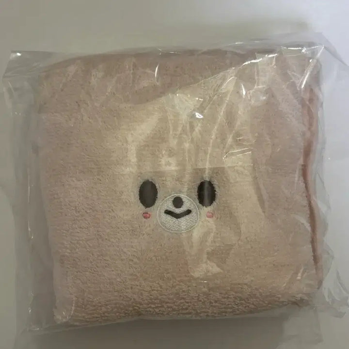 [SOLD OUT] 스트레이키즈 6기 팬미팅 입장 기프트 아이엔 폭시니 수건 판매