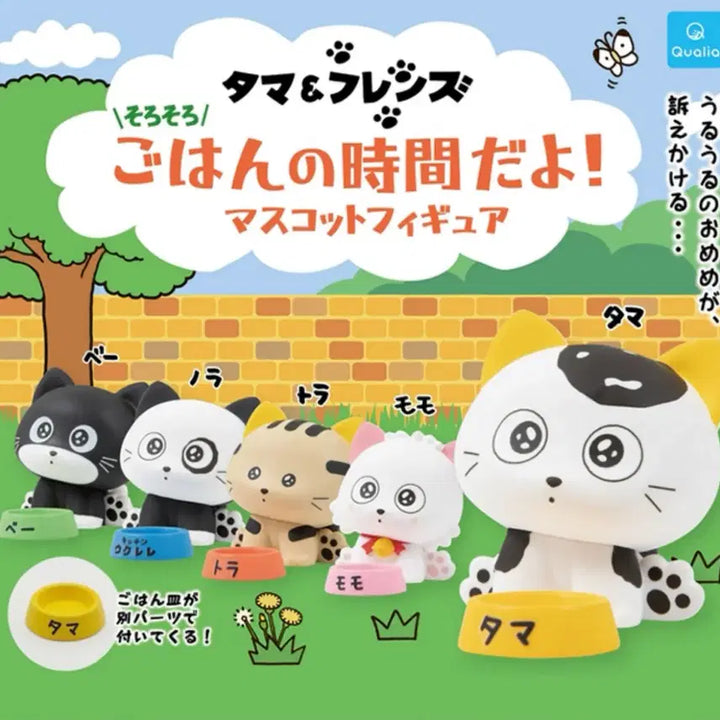 [BUNJANG] Tama Friends Gacha Full Set / 타마프렌즈 타마와 친구들 가챠 풀세트 일괄