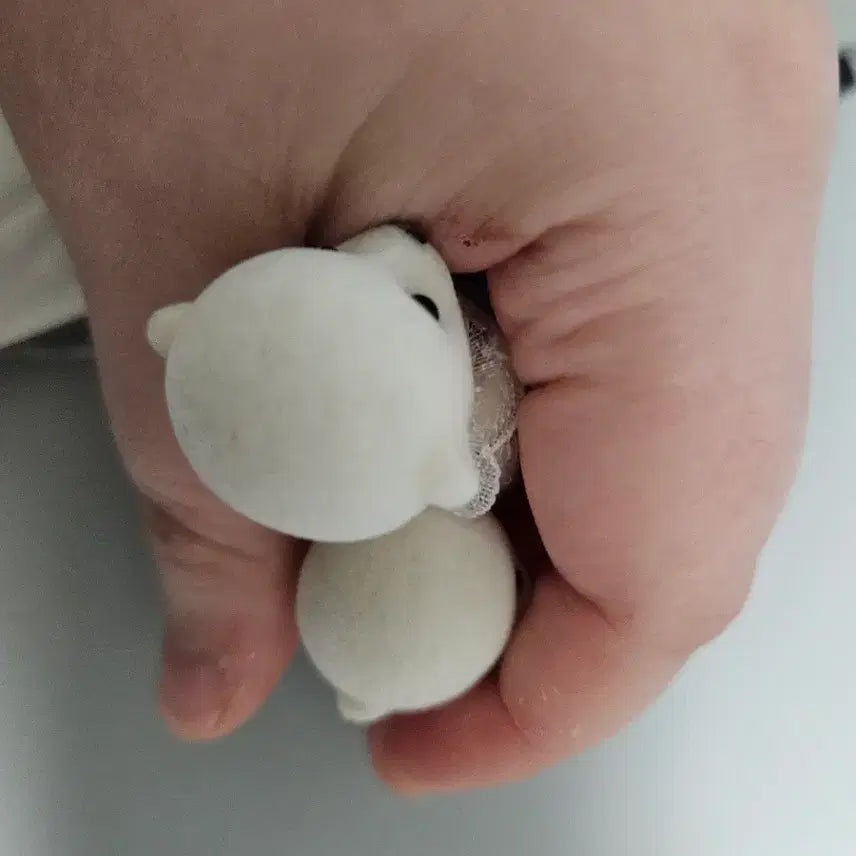[SOLD OUT] 실바니안패밀리 올드 북극곰 쌍둥이 아기