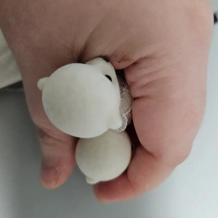 [SOLD OUT] 실바니안패밀리 올드 북극곰 쌍둥이 아기