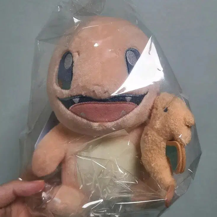 [BUNJANG] Pokemon Charmander &amp; Charizard Little Daydream Plush Doll / 미개봉 포켓몬 파이리 리자몽 인형 리틀데이드림