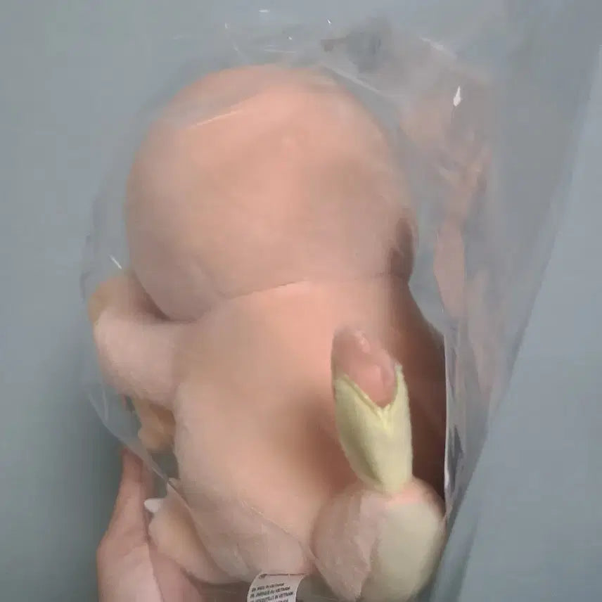 [BUNJANG] Pokemon Charmander &amp; Charizard Little Daydream Plush Doll / 미개봉 포켓몬 파이리 리자몽 인형 리틀데이드림