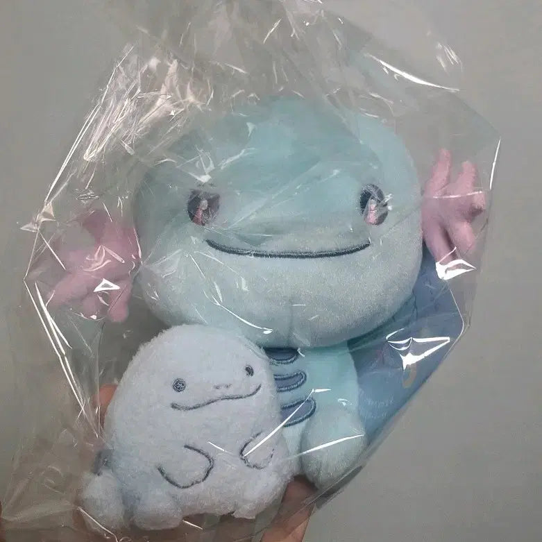 [BUNJANG] Pokemon Wooper and Quagsire Little Daydream Plush / 미개봉 포켓몬 우파 누오 인형 리틀데이드림