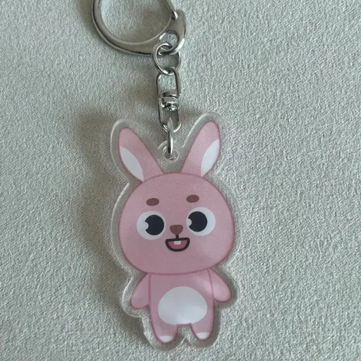 [BUNJANG] DAY6 Wonpil Denimals Acrylic Keyring / 데이식스 DAY6 팝업 데니멀즈 김원필 원필 필끼 아크릴 키링
