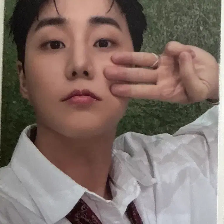 [BUNJANG] Day6 Young K The Decade Photocard / The Decade 앨범 포카 영케이 버전
