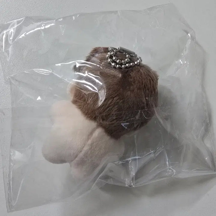 [SOLD OUT] 괴담출근 사헌 5깅 양도