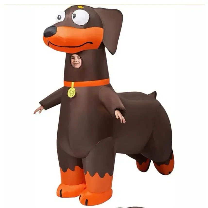[BUNJANG] Dog Dachshund Graduation Airsuit Rental / 졸업사진 닥스훈트 강아지 에어슈트 대여