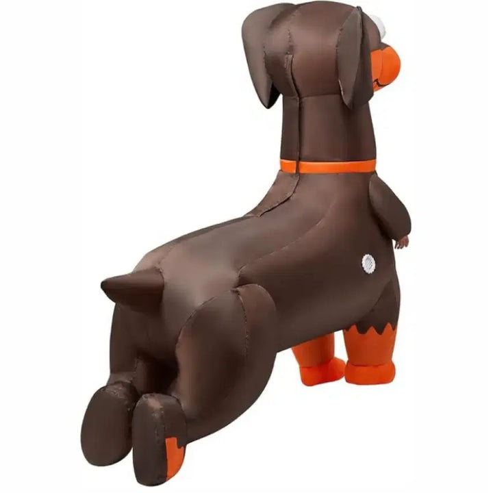 [BUNJANG] Dog Dachshund Graduation Airsuit Rental / 졸업사진 닥스훈트 강아지 에어슈트 대여
