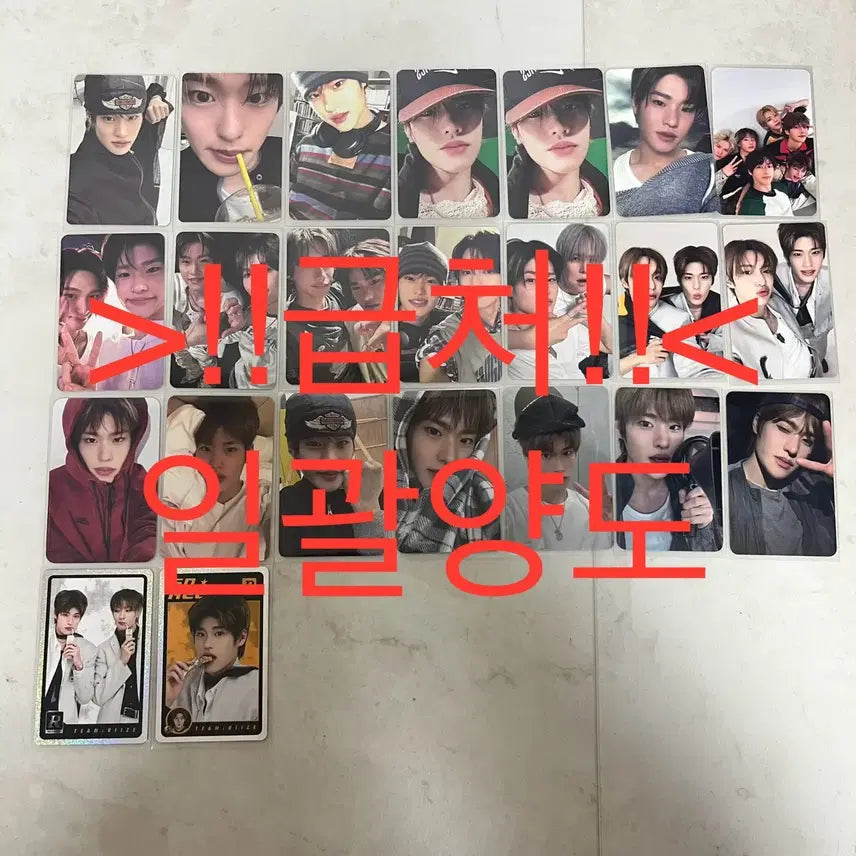 [BUNJANG] Riize Sohee Bundle Set Lucky Draw Photocard / (!급처!)라이즈 riize 소희 포카 일괄 양도 미공포 럭드 트레카