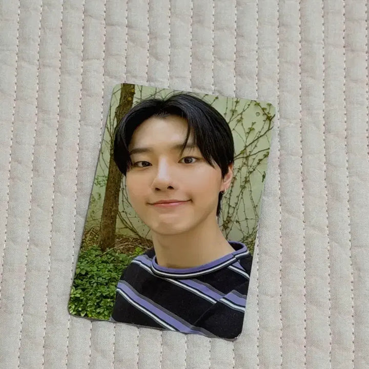 [BUNJANG] WOODZ Cho Seung Youn [OO-LI] Multi Box Photocard / WOODZ 조승연 포카