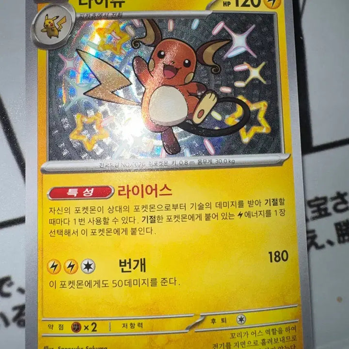 [SOLD OUT] 포켓몬 카드 피카츄 라이츄 이로치 세트