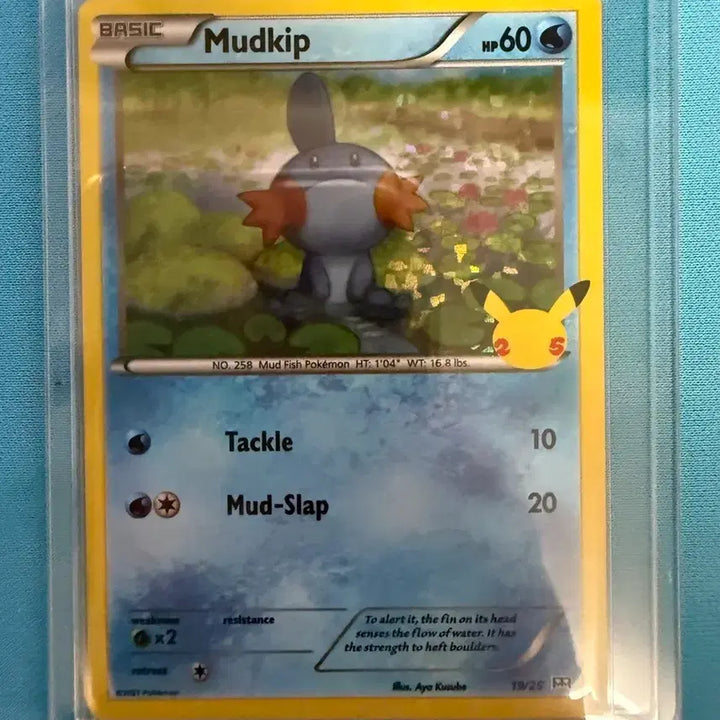 [SOLD OUT] 포켓몬스터 Mudkip (물짱이) 카드 25주년