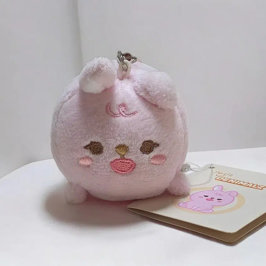 [SOLD OUT] 데이식스 쁘띠멀즈 사족보행 필 (입양증 O)