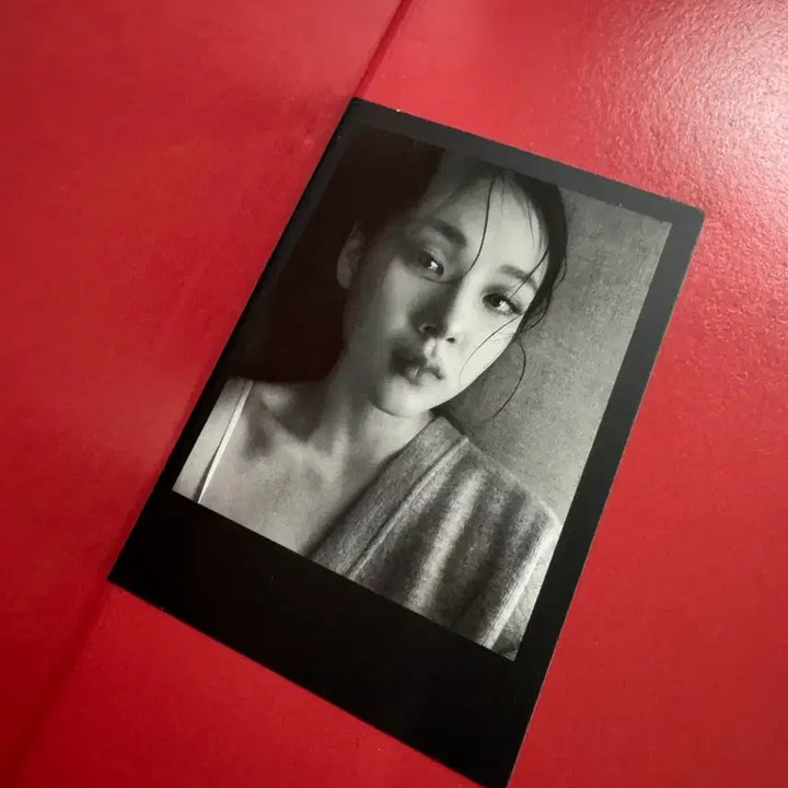 [SOLD OUT] 비비 인생은 미친X 개봉
