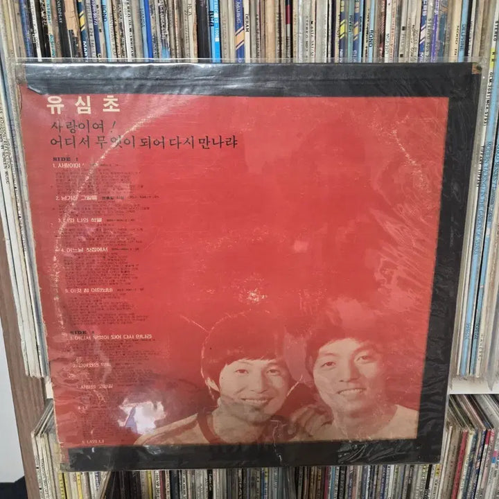 [BUNJANG] Yoo Sim-cho LP - Where and What to Become / 유심초 LP판 - 어디서 무엇이 되어
