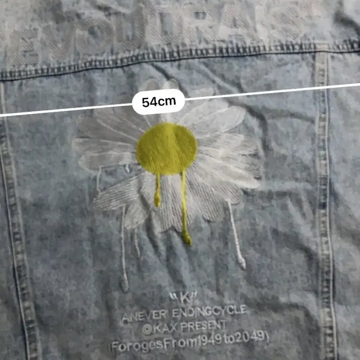[BUNJANG] Denim Jacket Sunflower Embroidery / 데님 청자켓 해바라기 자수