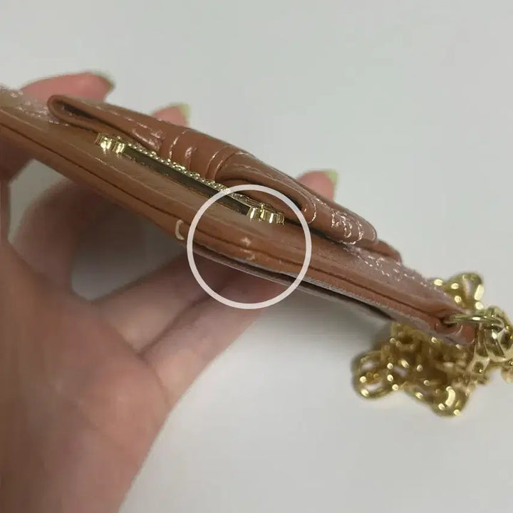 [BUNJANG] Liz Lisa Chain Card Wallet Brown / 리즈리사 체인 카드 지갑 / 패스 케이스 갈색 브라운
