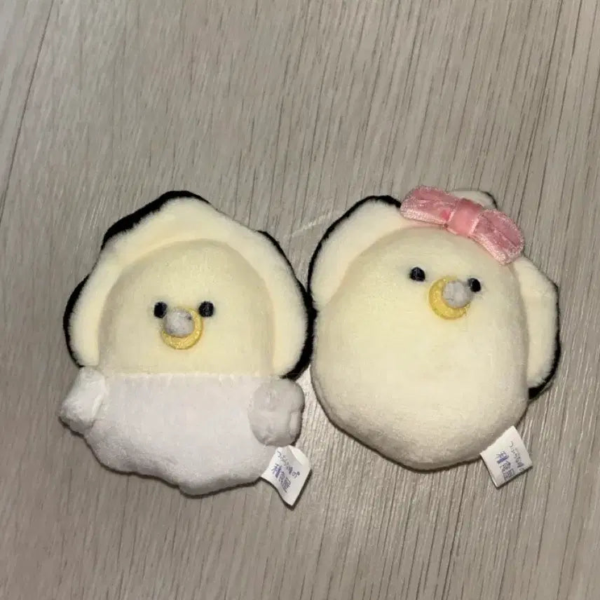 [BUNJANG] Tsuburana Hitomi "Baby Clam" Plush Doll Bundle Set / 츠부라나 히토미 아기굴 굴 인형 일괄 판매