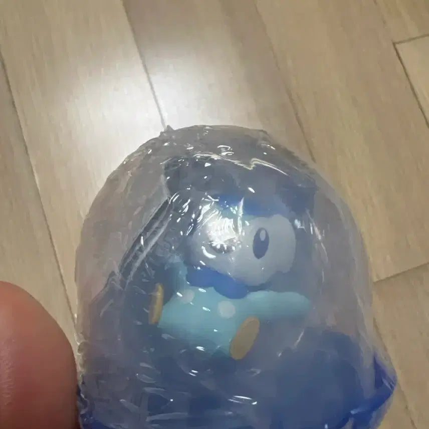 [SOLD OUT] 포켓몬 팽도리 가챠 새상품