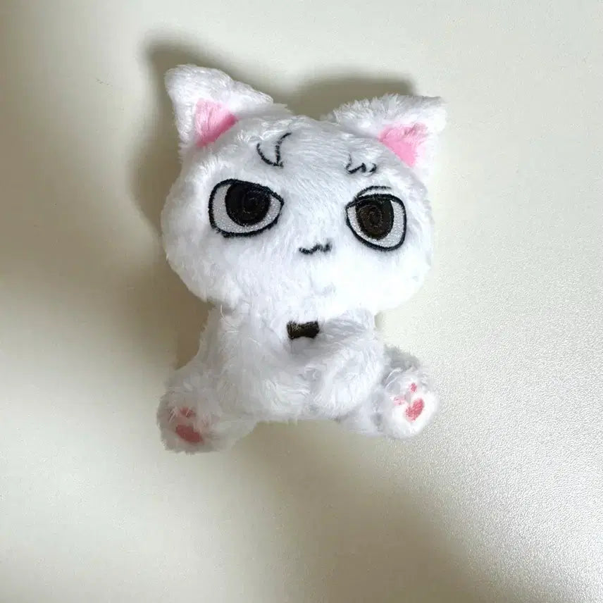 [BUNJANG] BOYNEXTDOOR Sungho 10cm Stuffed Doll / 보이넥스트도어 성호 10cm 솜인형 삐넥도 흰게냥