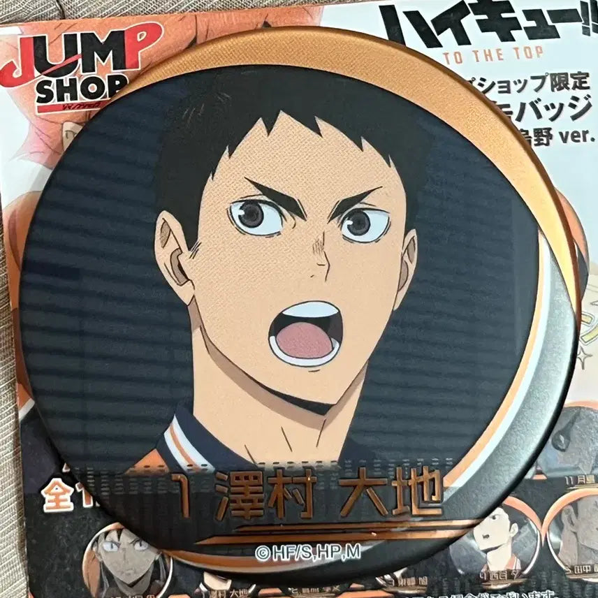 [BUNJANG] Haikyuu! Daichi &amp; Suga Can Badge Set / 하이큐 명장면 캔뱃지 카라스노 다이치 스가 세트