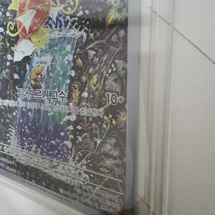 [SOLD OUT] 잉어킹 ar