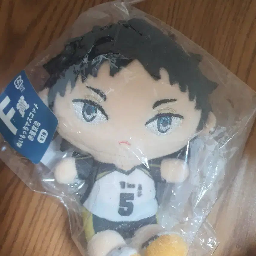 [BUNJANG] Haikyuu Akaashi Keiji Plush Doll / 하이큐 아카아시 케이지 인형