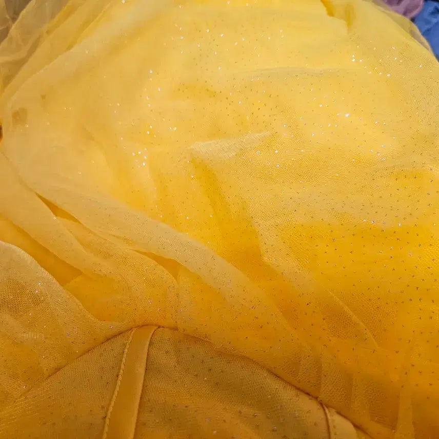 [BUNJANG] Beauty and the Beast Belle Dress Cosplay / 미녀와 야수 벨 드레스 코스프레 졸업사진 판매