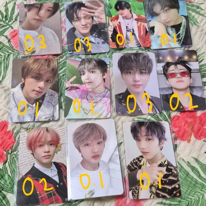 [BUNJANG] NCT 127, WayV Photocard / 엔시티 127 드림 웨이션브이 포카 양도