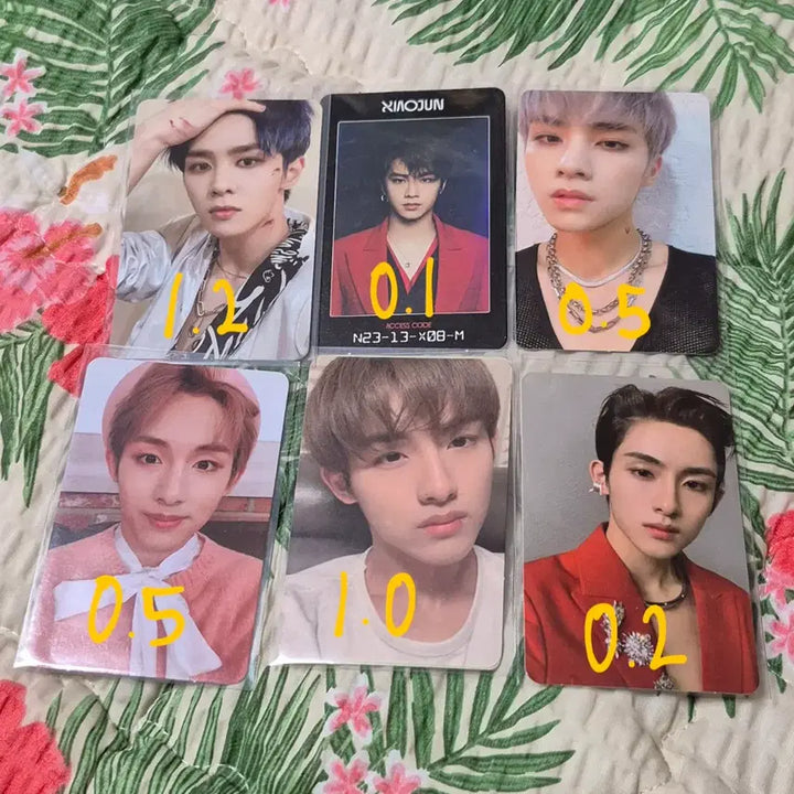 [BUNJANG] NCT 127, WayV Photocard / 엔시티 127 드림 웨이션브이 포카 양도