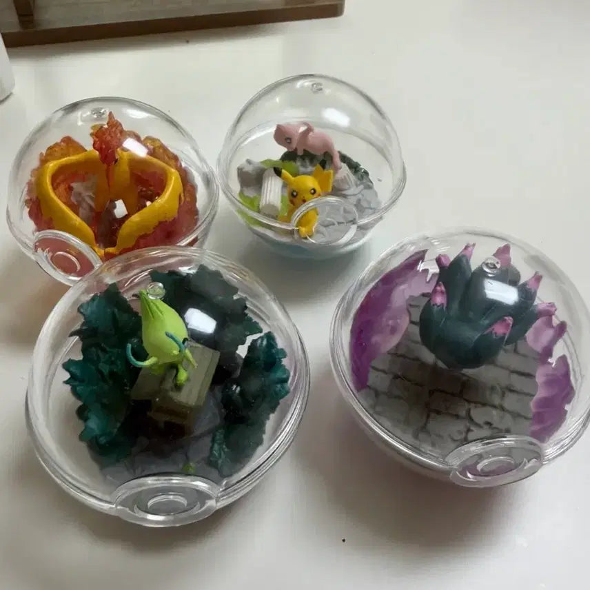 [BUNJANG] Pokemon Terrarium Collection Figure Set / 포켓몬 테라리움 컬렉션 피규어 4종 세트