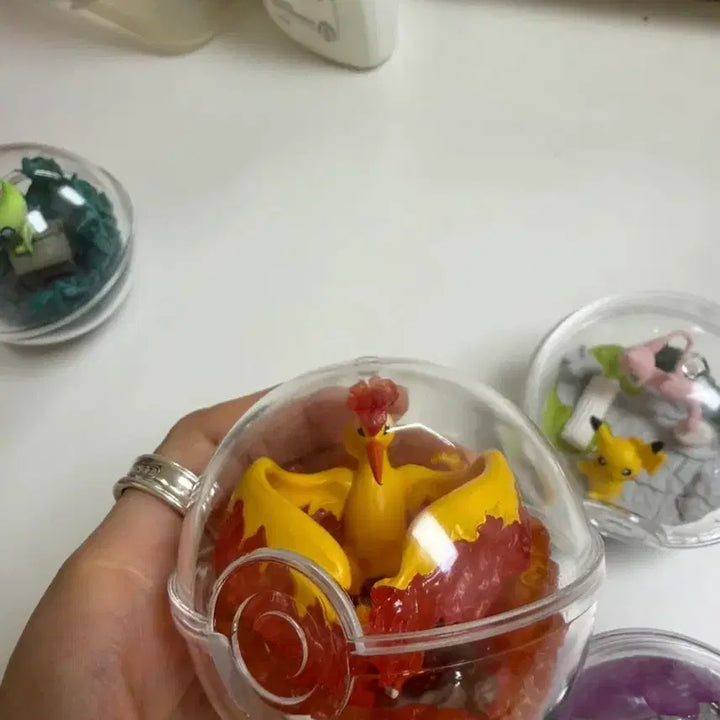 [BUNJANG] Pokemon Terrarium Collection Figure Set / 포켓몬 테라리움 컬렉션 피규어 4종 세트