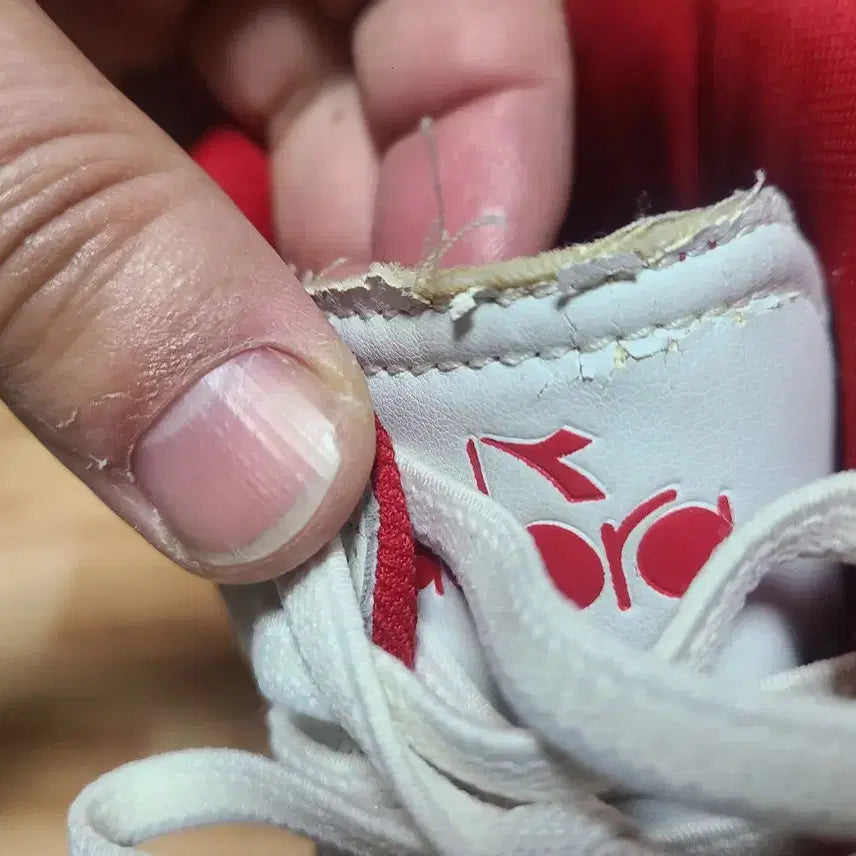 [BUNJANG] Diadora Basketball High-Top Sneakers / 디아도라 바스켓 하이탑 260
