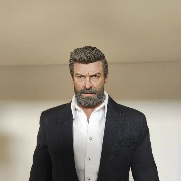 [BUNJANG] Logan 12-inch Custom Figure / 작가작 로건 12인치 커스텀 피규어 (핫토이x)