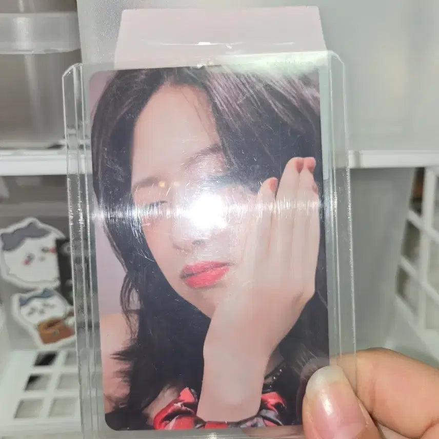 [BUNJANG] Enhypen Yujin Photocard / 엠파시 유진포카