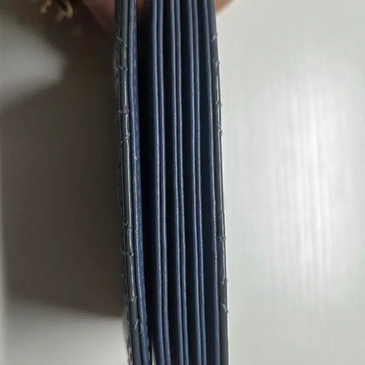 [SOLD OUT] (W) 디올 5거싯 아코디언 카드홀더 에나멜 S0074OVRB
