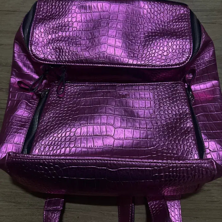 [SOLD OUT] 브라스파티 백팩