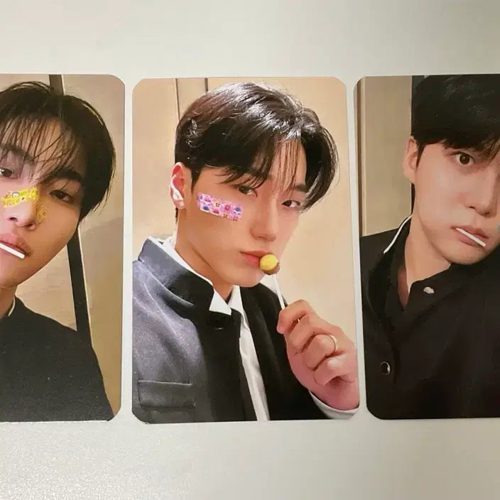 [SOLD OUT] 에이티즈 무신사 불량티즈 산 성화 종호 양도