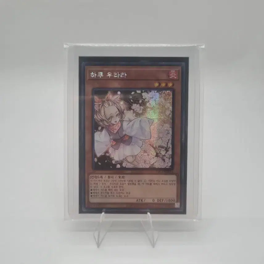 [BUNJANG] Yu-Gi-Oh! Haru Urara Card / 유희왕 하루 우라라 카드 팜매합니다.