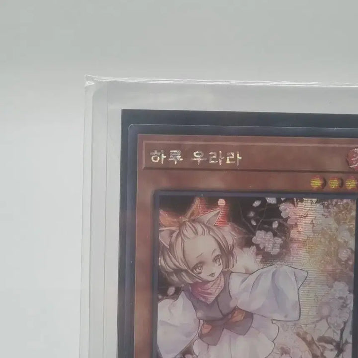 [BUNJANG] Yu-Gi-Oh! Haru Urara Card / 유희왕 하루 우라라 카드 팜매합니다.