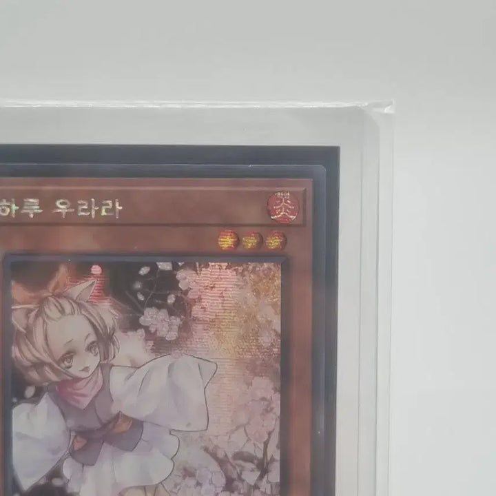 [BUNJANG] Yu-Gi-Oh! Haru Urara Card / 유희왕 하루 우라라 카드 팜매합니다.