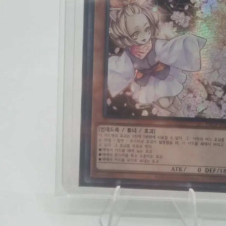 [BUNJANG] Yu-Gi-Oh! Haru Urara Card / 유희왕 하루 우라라 카드 팜매합니다.
