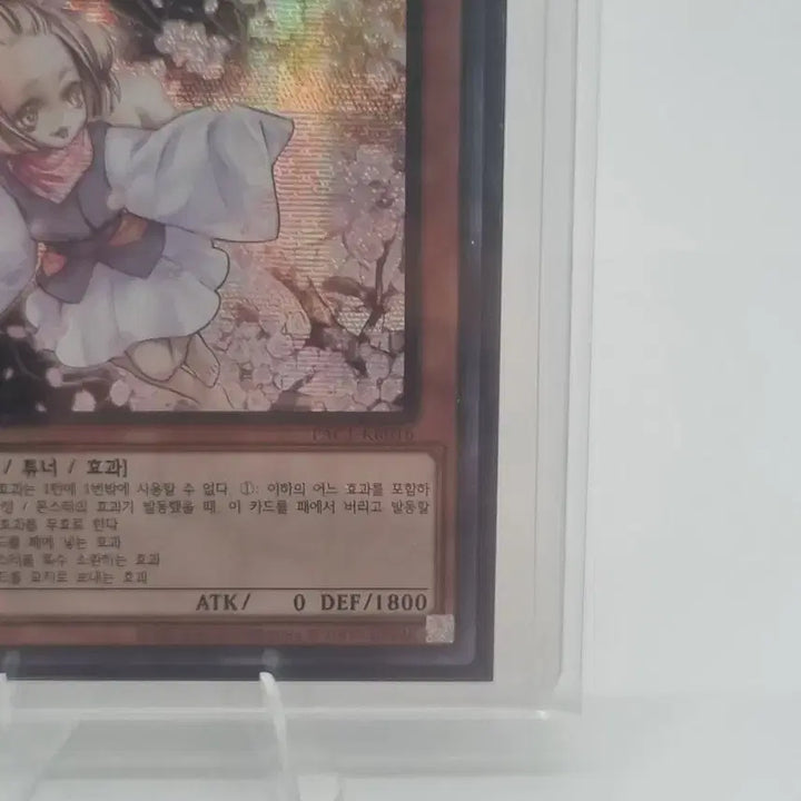 [BUNJANG] Yu-Gi-Oh! Haru Urara Card / 유희왕 하루 우라라 카드 팜매합니다.