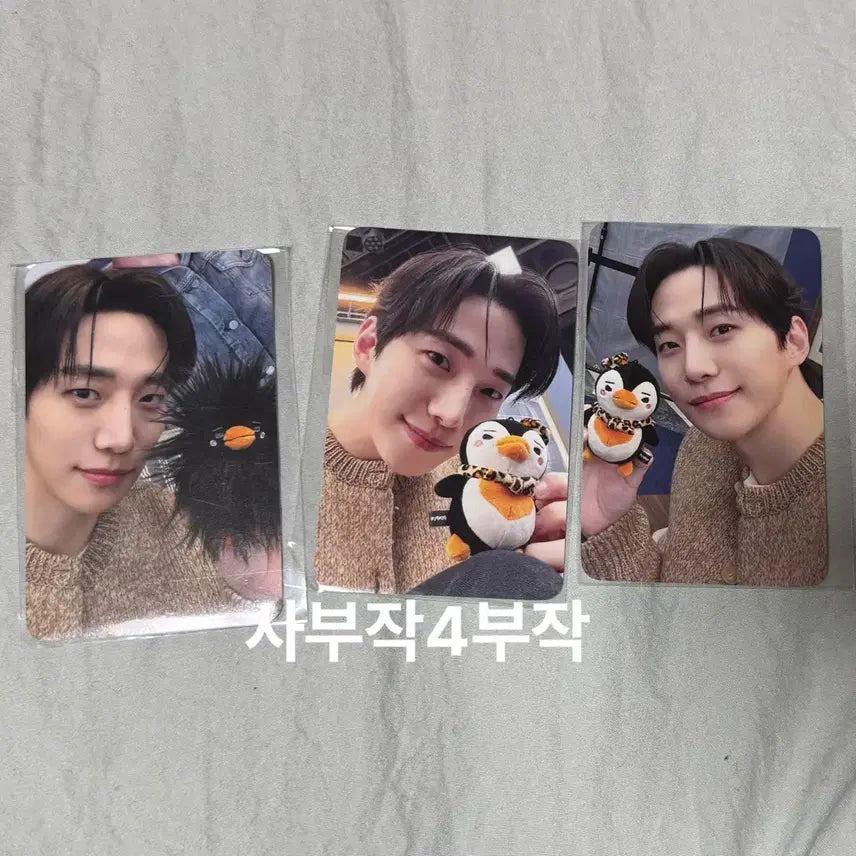 [SOLD OUT] 2pm 이준호 펭펭이 팝업 온라인 특전 포토카드 미개봉 일괄 바야바