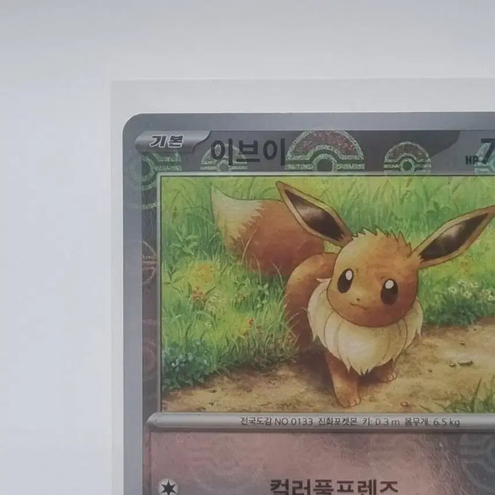 [BUNJANG] Pokemon Eevee Monster Ball Version Bundle Set / 포켓몬 카드 이브이 몬스터볼 버전 일괄 판매합니다.