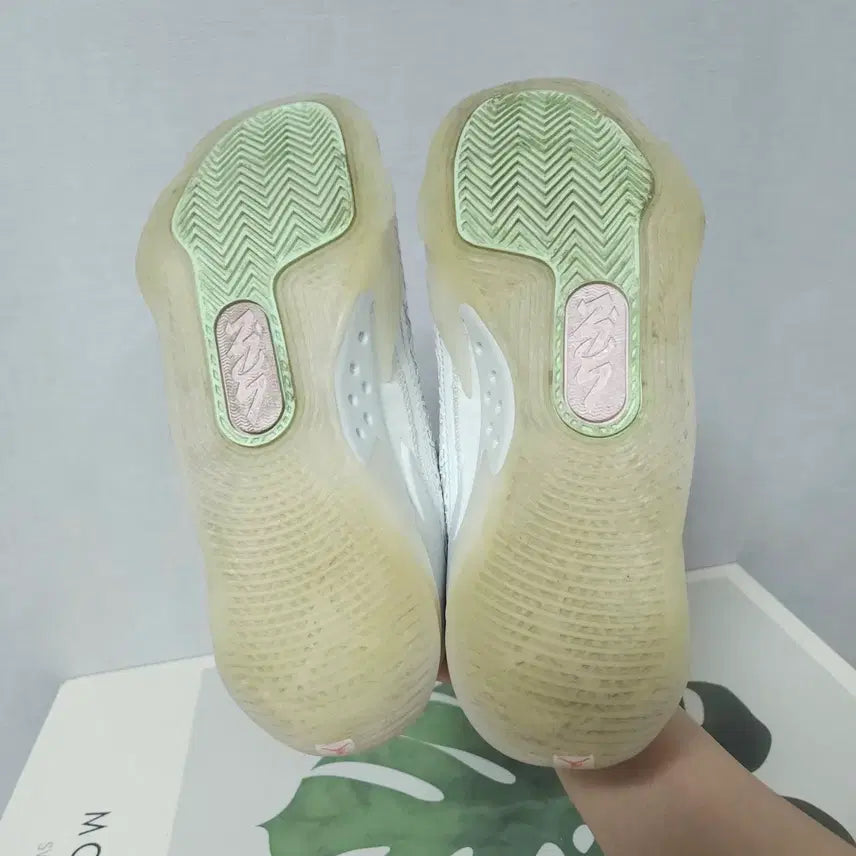 [BUNJANG] Nike Zion 3 White Basketball Shoes / 250)나이키 자이언 3 화이트 농구화