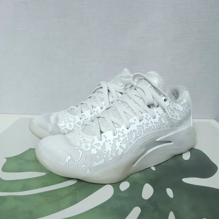 [BUNJANG] Nike Zion 3 White Basketball Shoes / 250)나이키 자이언 3 화이트 농구화