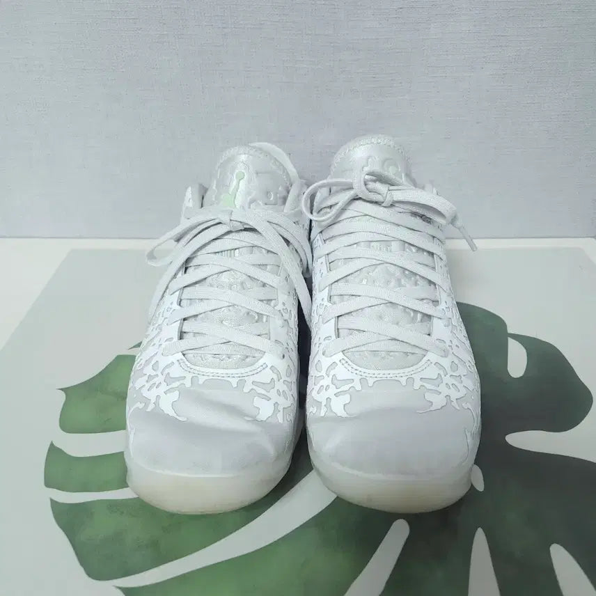[BUNJANG] Nike Zion 3 White Basketball Shoes / 250)나이키 자이언 3 화이트 농구화